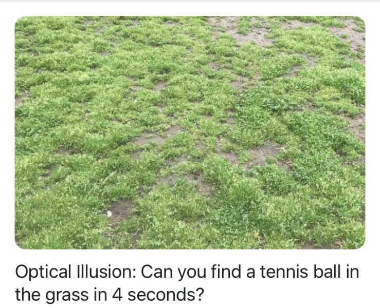 Tennis:  Here we go again, all the slams ahead of us.  
