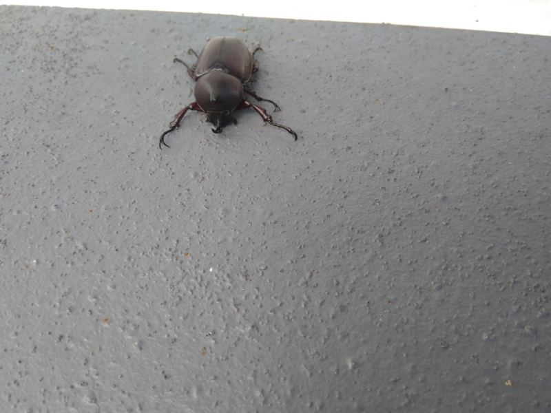 Thread 6 - TalkExiles: "Yup, still round."