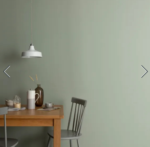 Best sage paint colours