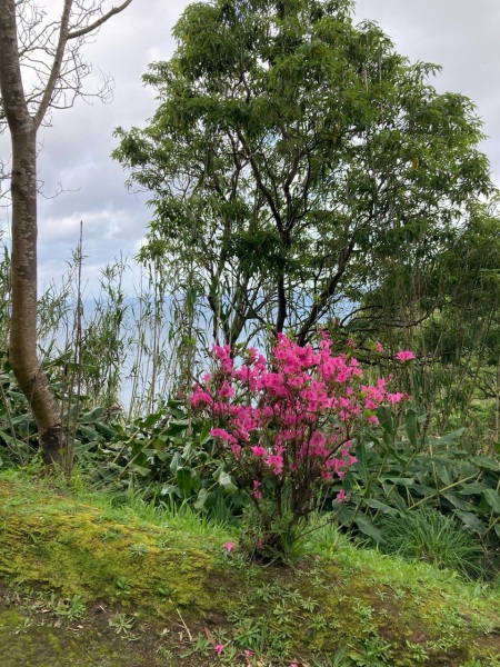 Come and tell me your dull and unexciting news 25: Calmly through the day 