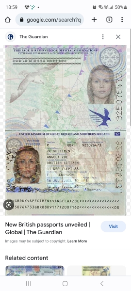 New UK passport: lines over photo ID - is this a new security feature?