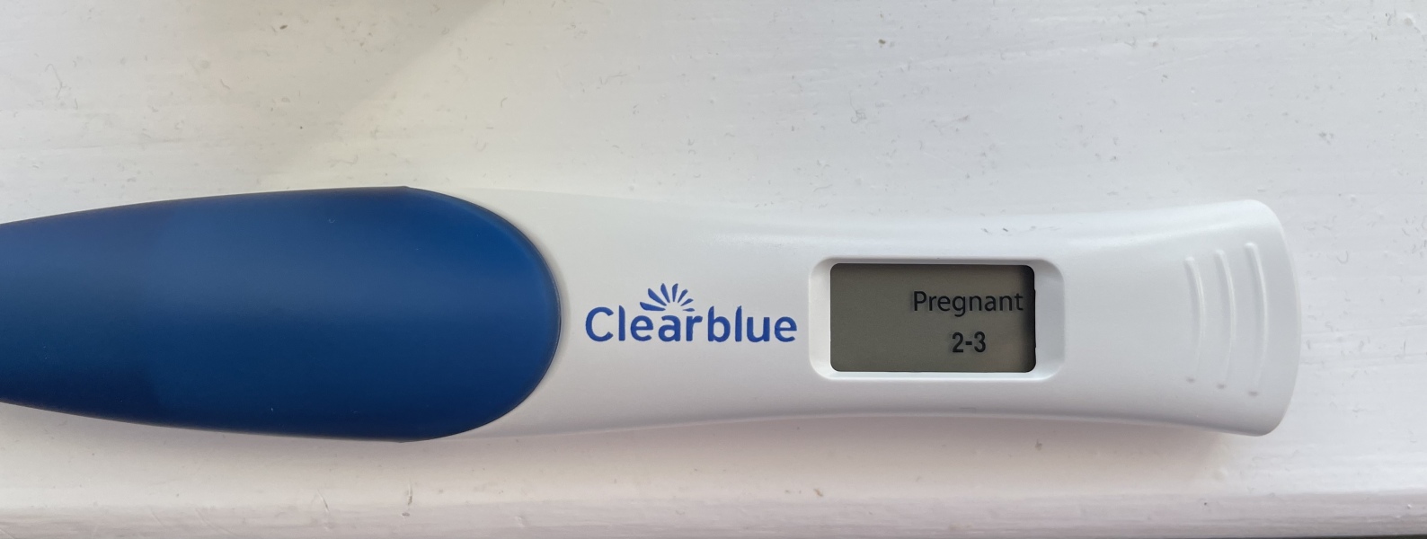 Due November 2023 ✨