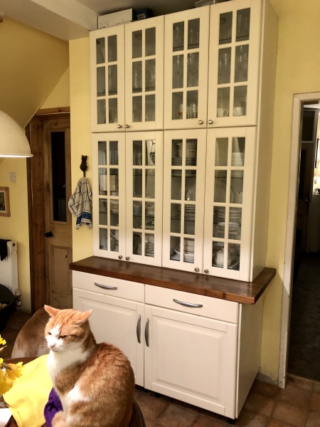 Grey kitchen cupboards with mustard or yellow walls? Opinions please?
