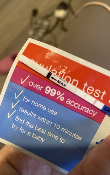 ovulation test 