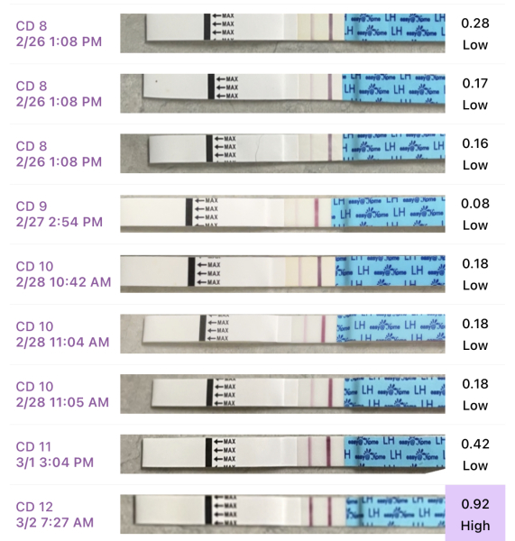 Help with OPK line please!! 