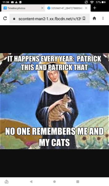 Hundreds of cats, thousands of cats, millions and billions and trillions of cats