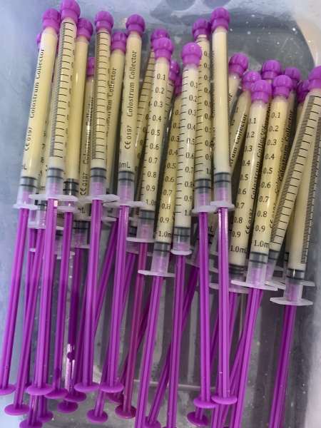 Due March 2023 - Thread 9