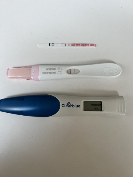 Day 3 to day 5 embryo development and grading