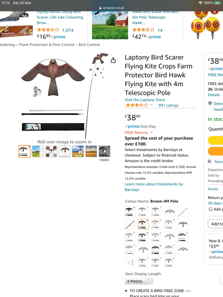 To start shooting crows on my roof...