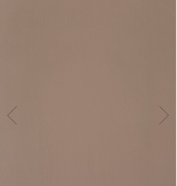 Plaster coloured paint