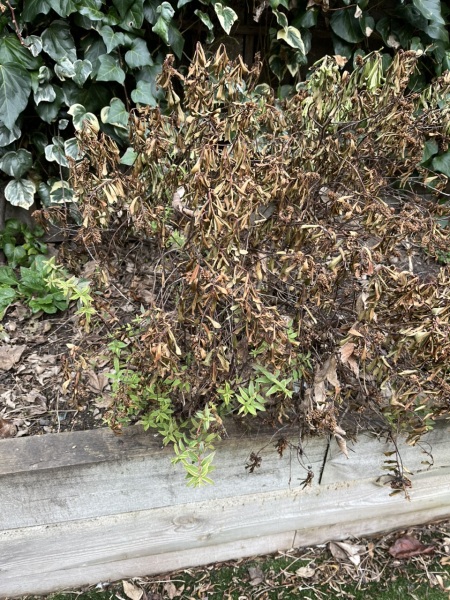 What should I do with this?