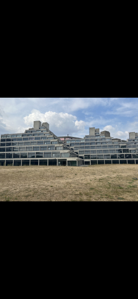 Thread 45 GCSE Covid Cohort - Bunnies bouncing into Spring