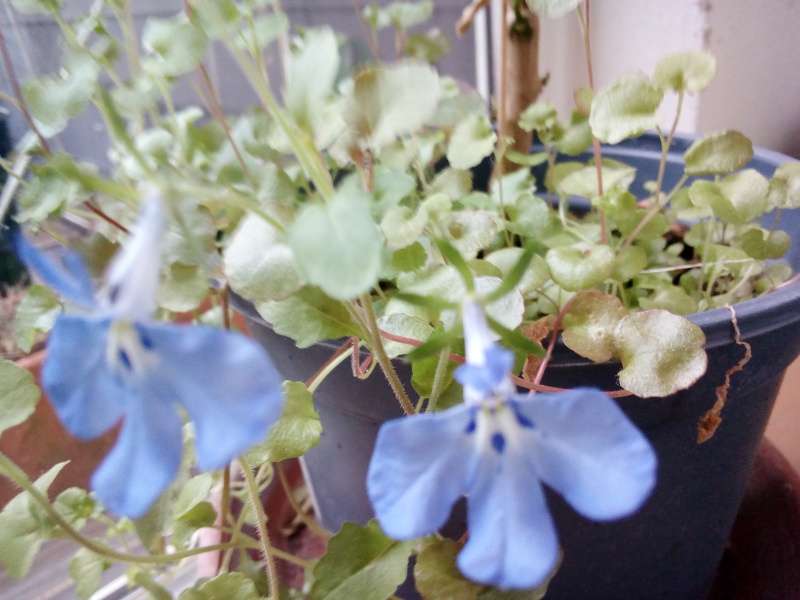 Come and tell me your dull and unexciting news 24: Calmly through the day 