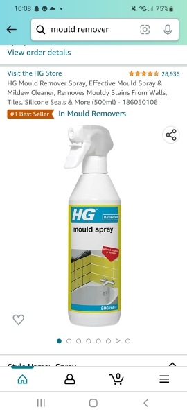 What to use to clean mould off walls?