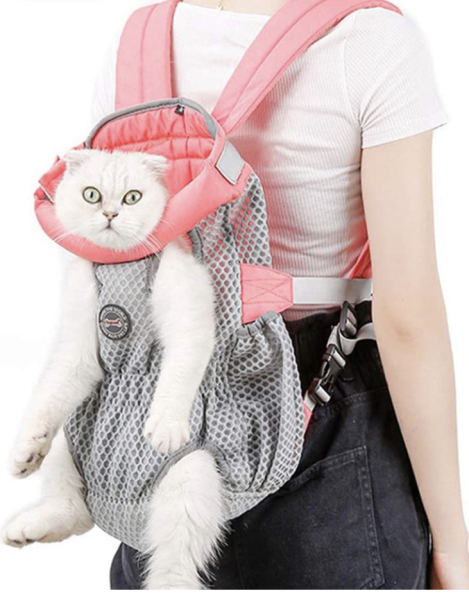 To KNOW Dcat was wrong and secretly think she should admit she was?