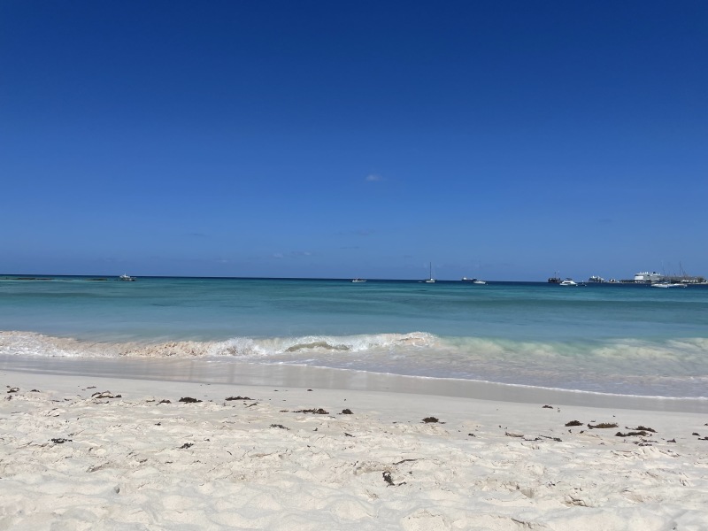 Jan '23 Low Carb Bootcamp - the final weigh-in