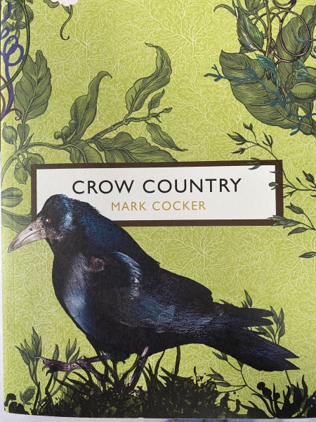 A question about Corvids