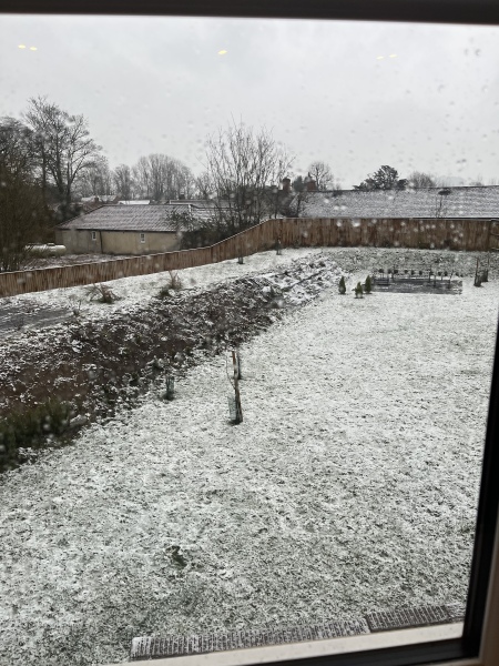 Countdown to Christmas 2023: get past the post-Christmas slump by thinking about the next one! (Thread 1.)