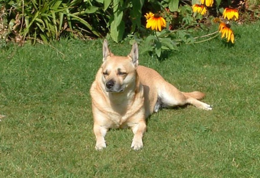 Thread 5 - TalkExiles: "The Planet Goes On Being Round"