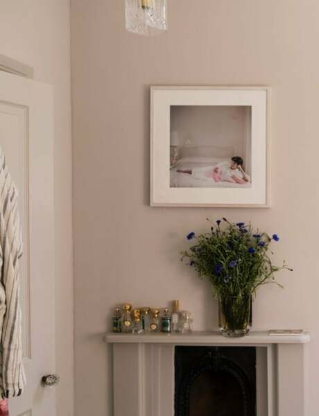 Plaster coloured paint