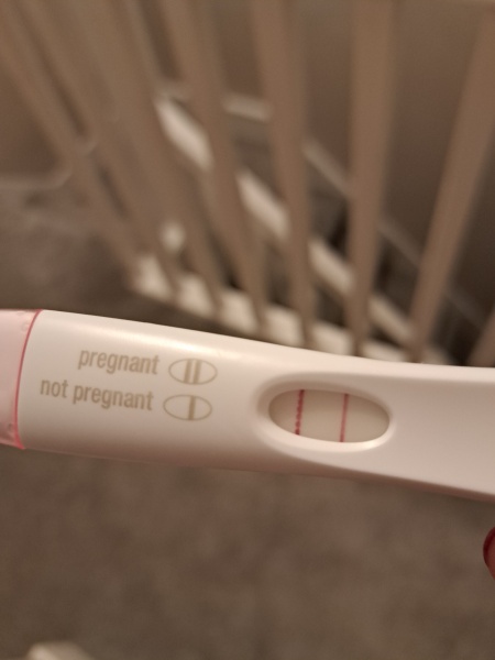 Due November 2023 ✨