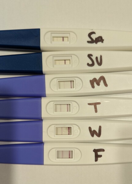 Due December 2023