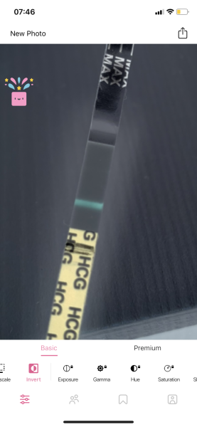 Faint pregnancy tests 