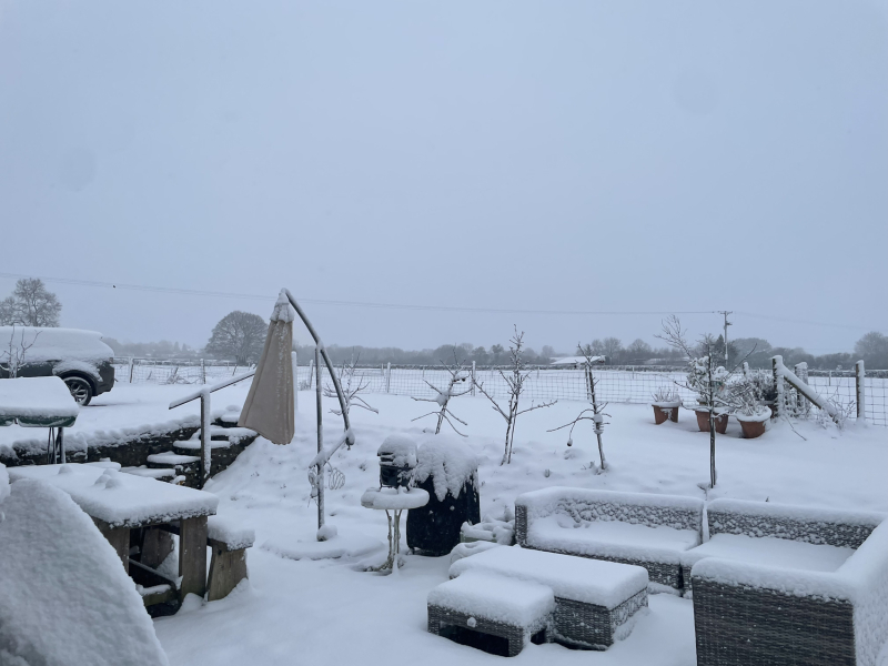Snow Day!!!