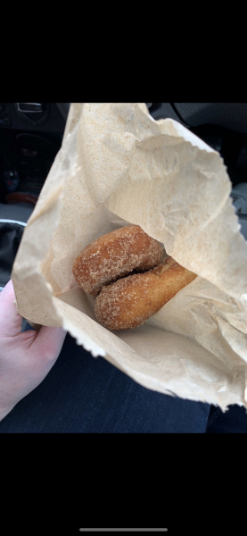 Hot mini sugar cinnamon doughnuts?