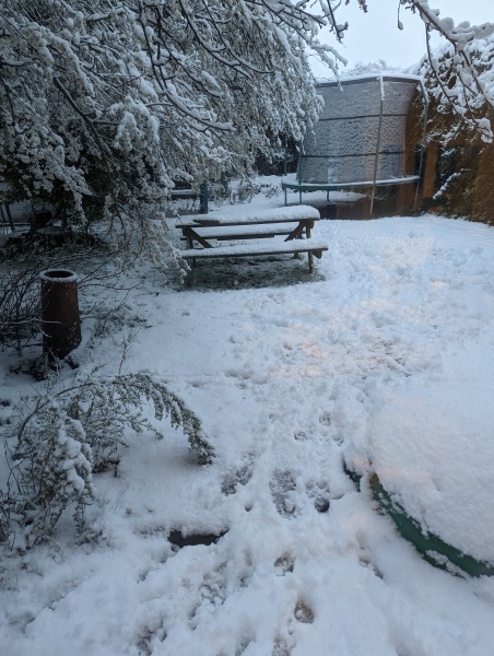 This snow is inadequate 