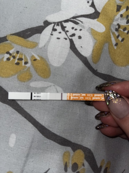 Is this a BFP? 