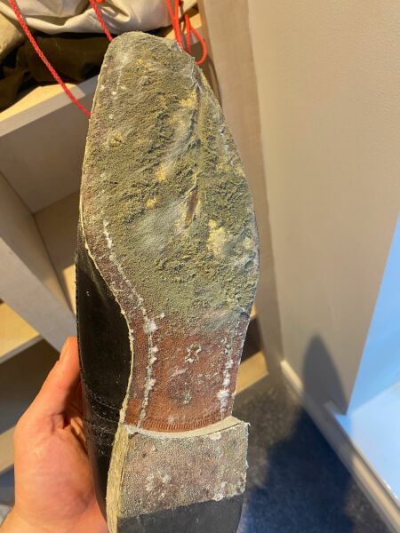 Black mould, private tenancy 