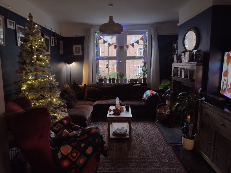 Darker but cozy colour for living room