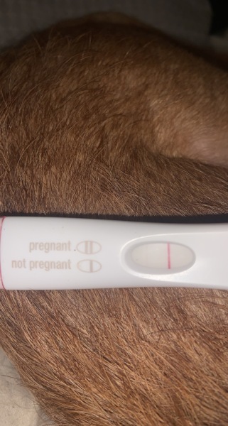 Line eyes needed!! Frer indent or positive?