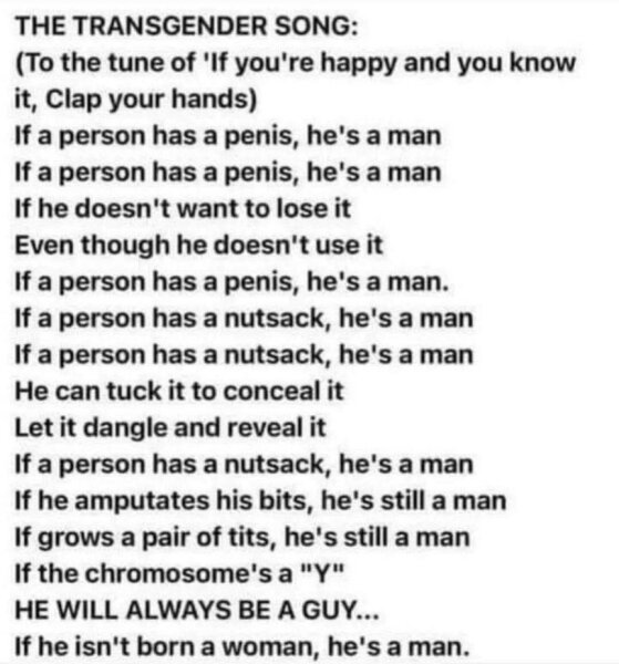 Gender critical in Ireland 