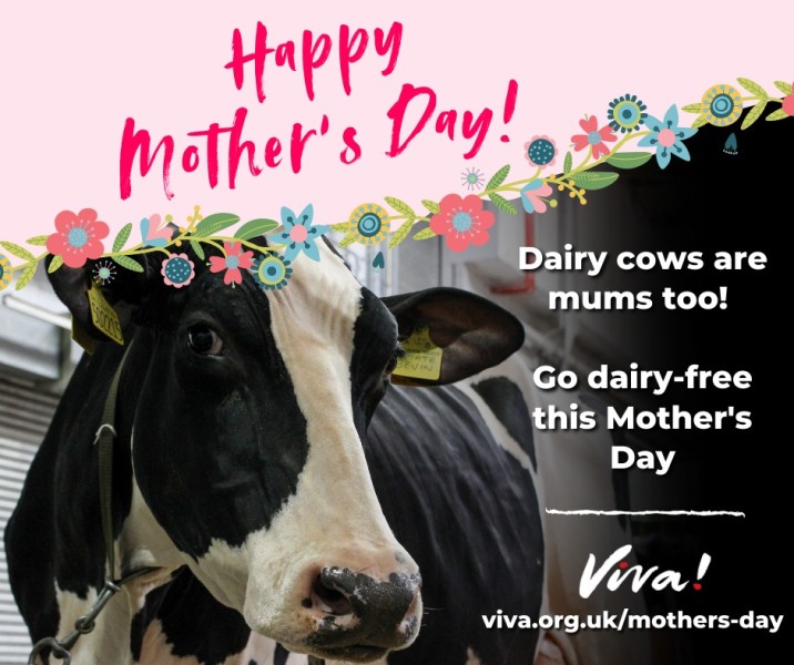 Mothers Day