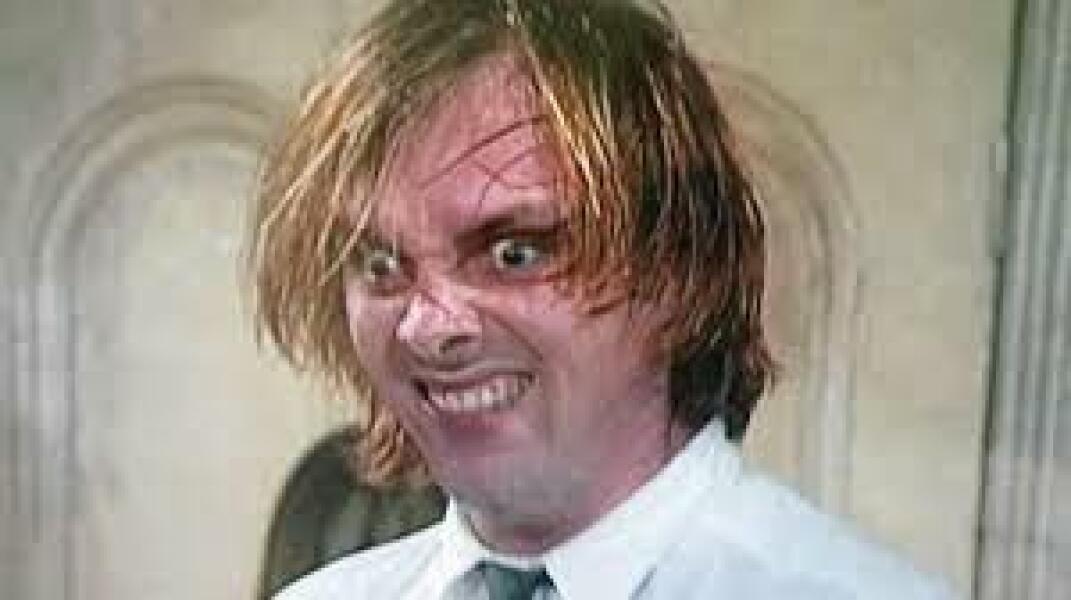 The stunning skirting boards 