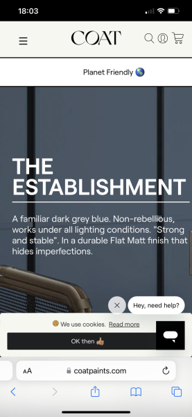 Blue living room - what blue?!