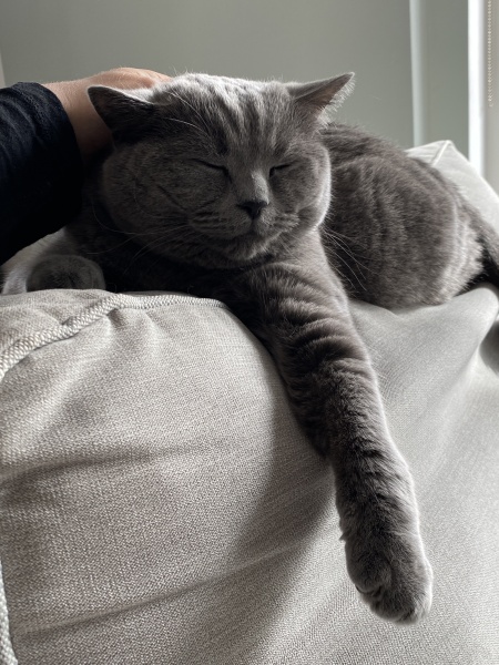 Thread 6 - TalkExiles: "Yup, still round."