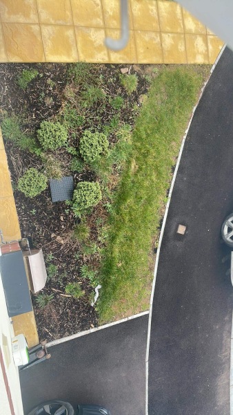 What to do with this rubbish patch of front garden? 