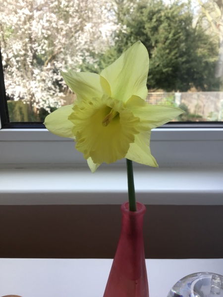 Happy St. Patrick's Day