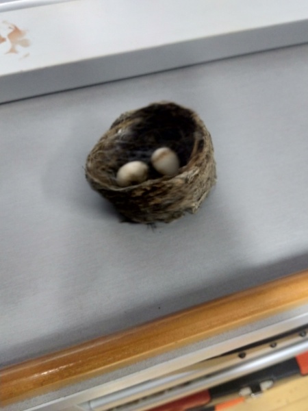 Thread 6 - TalkExiles: "Yup, still round."