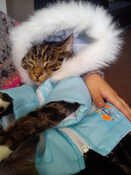 To KNOW Dcat was wrong and secretly think she should admit she was?