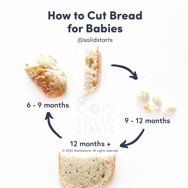 Want to try baby with toast 24 weeks
