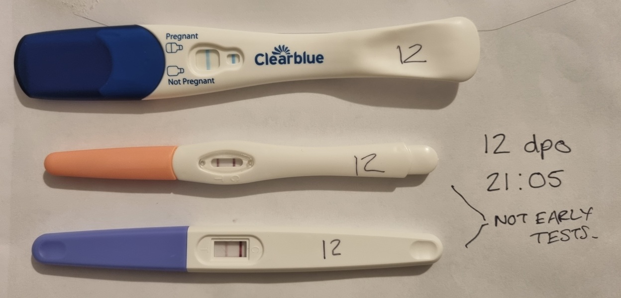 TWW - Testing Around 1st March 