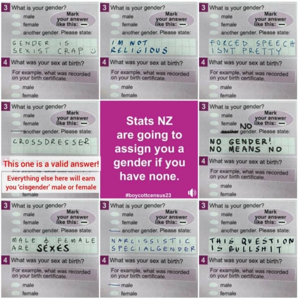 NZ Census 2023 - sex and gender questions 