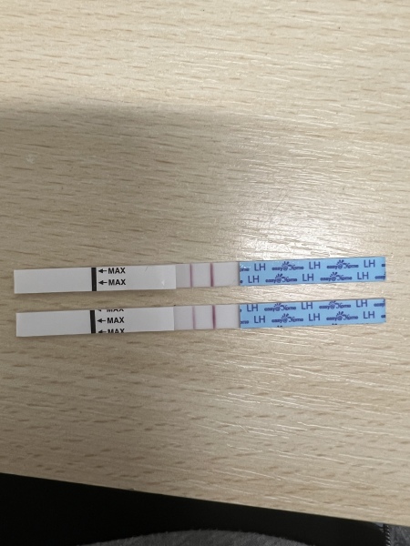 The Two Week Wait Club