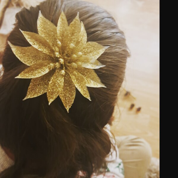 to plait DS hair..?