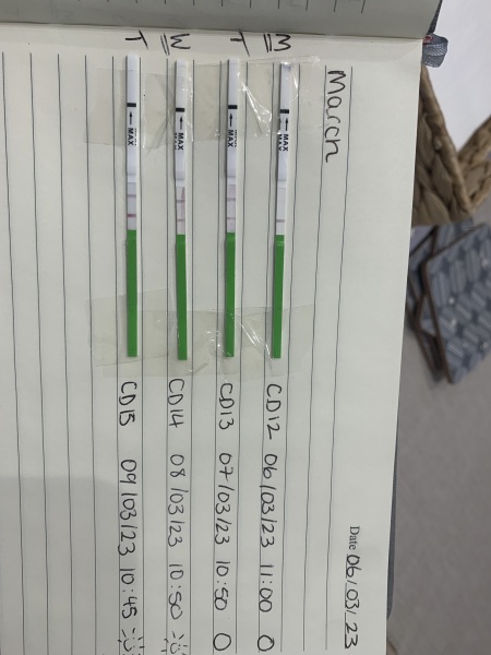 CB ovulation tests