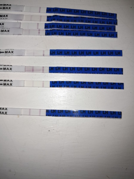 Is this a positive ovulation test? 